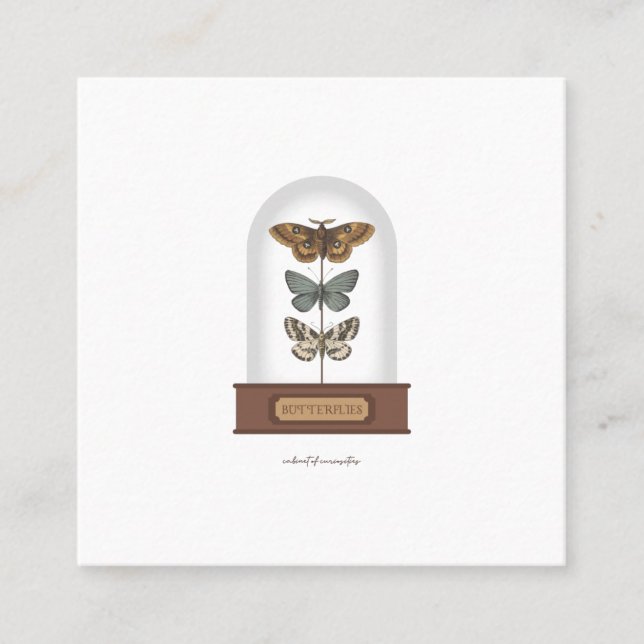 Butterflies featuring moths in a glass dome square business card (Front)