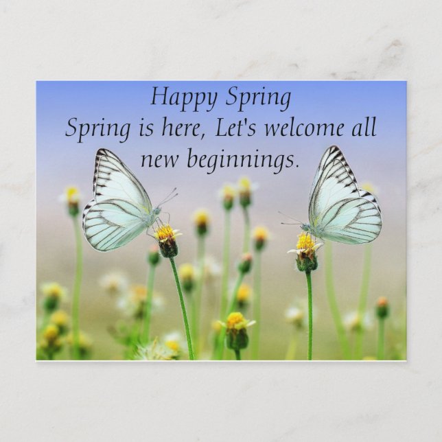 Butterflies Flowers Postcard (Front)