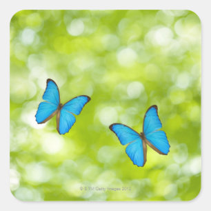 Butterflies flying, Digital Composite Square Sticker