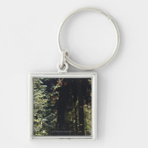Butterflies flying in forest key ring