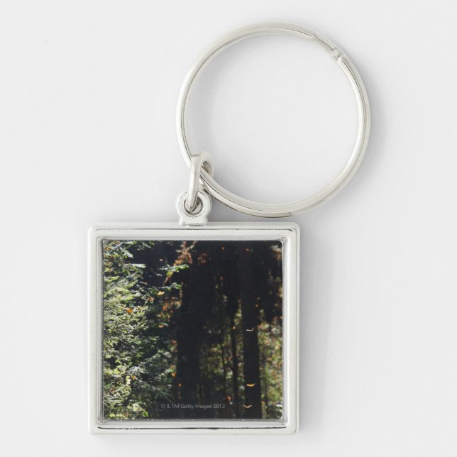 Butterflies flying in forest key ring (Front)