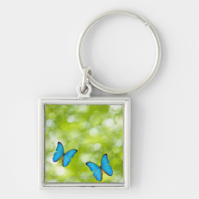 Butterflies flying key ring (Front)