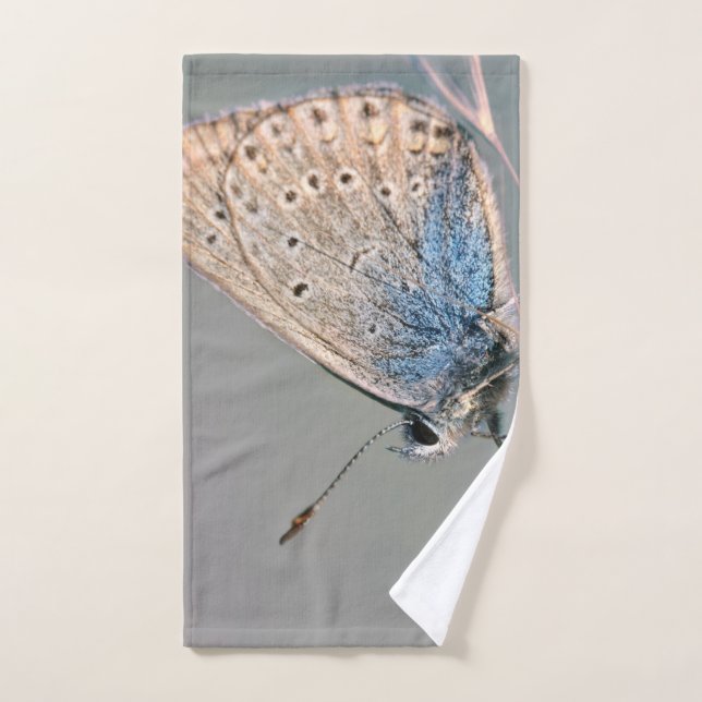 Butterflies Hand Towel (Hand Towel)