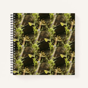 Butterflies in love.... notebook