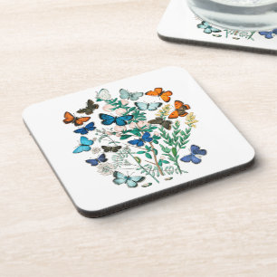 BUTTERFLIES IN NATURE COASTER