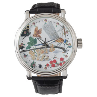 BUTTERFLIES ,INSECTS , FLOWERS AND PLANTS WATCH