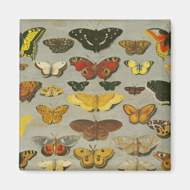 Butterflies Magnet (Front)