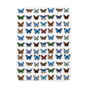 Butterflies Magnet