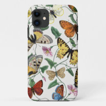 Butterflies & Moths 2