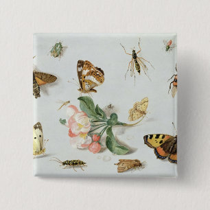Butterflies, moths and other insects 15 cm square badge