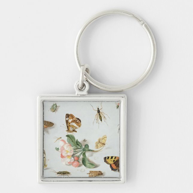 Butterflies, moths and other insects key ring (Front)