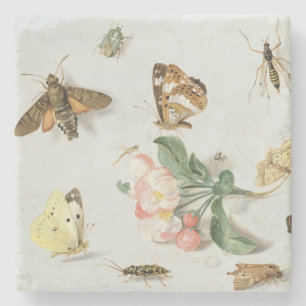 Butterflies, moths and other insects stone coaster