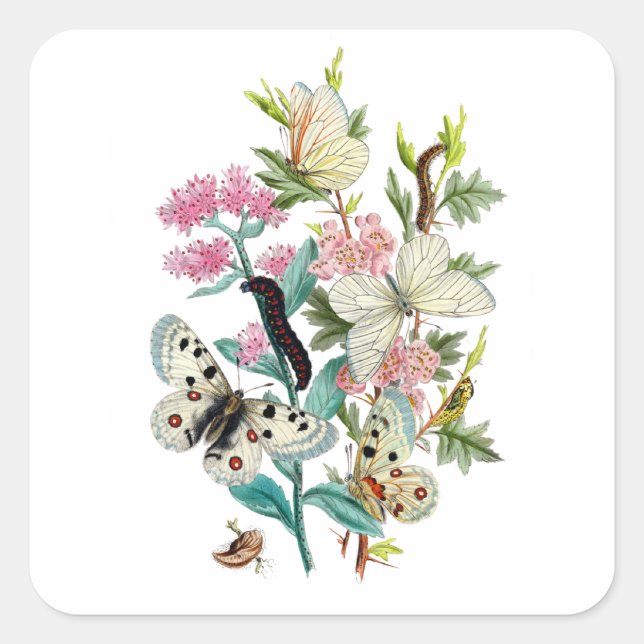 Butterflies of Summer Square Sticker (Front)