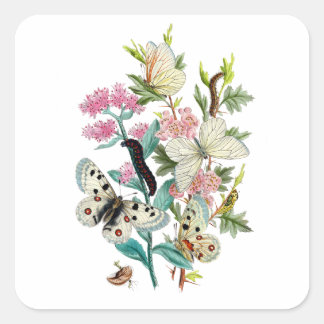 Butterflies of Summer Square Sticker