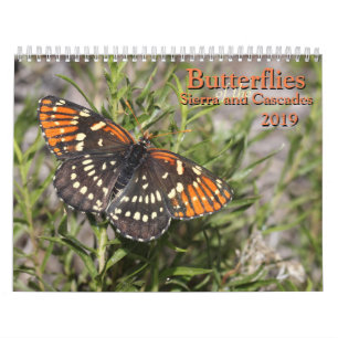 Butterflies of the Sierra and Cascades Calendar