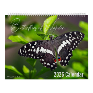 Butterflies of Wonder 2026 Nature Calendar
