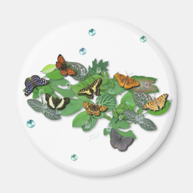 Butterflies on Leaves Magnet (Front)
