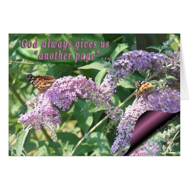 Butterflies on Lilac-page-customise (Front Horizontal)