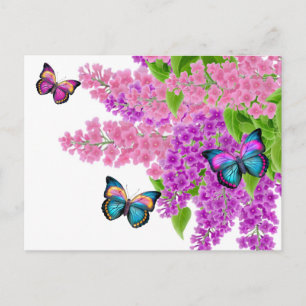 Butterflies on Lilacs Postcard