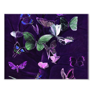 Butterflies On Purple Photo Print