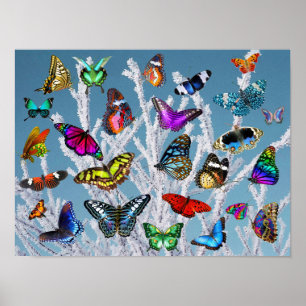 Butterflies on the branches. Nature. Scenery. Poster