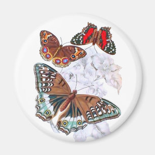 Butterflies - Orange and Brown Magnet