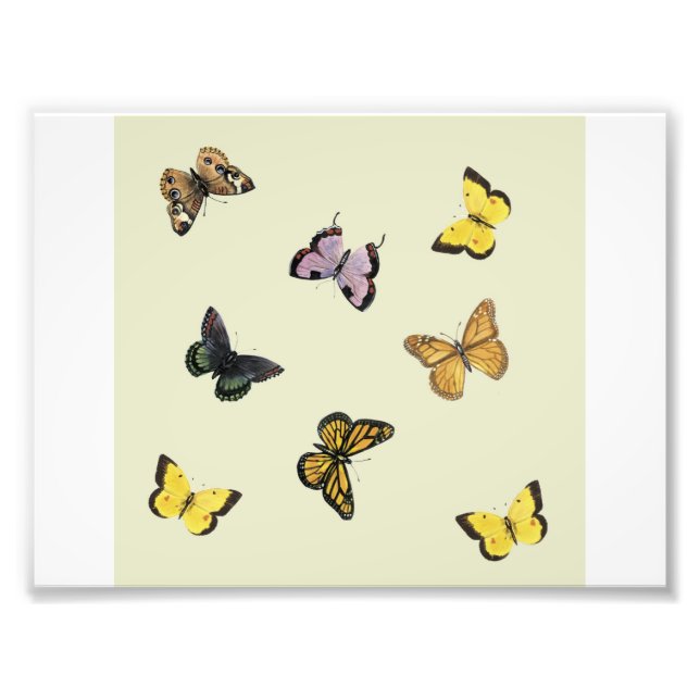 Butterflies Photo Print (Front)