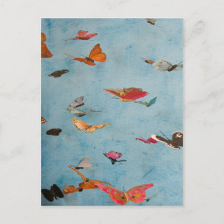 Butterflies Postcard