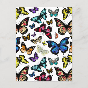 Butterflies Postcard