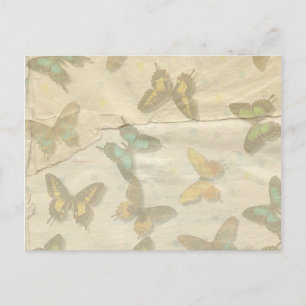 Butterflies Postcard