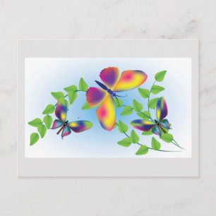 Butterflies Postcard