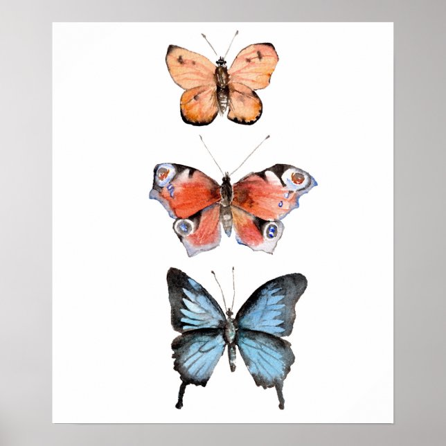 Butterflies Poster (Front)