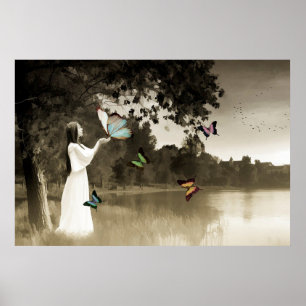 Butterflies Poster