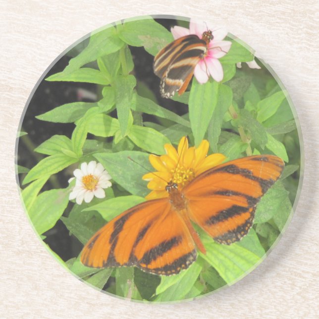 Butterflies Sandstone Coasters (Front)