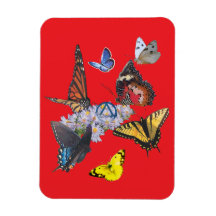 butterflies sobriety symbol rectangle magnet