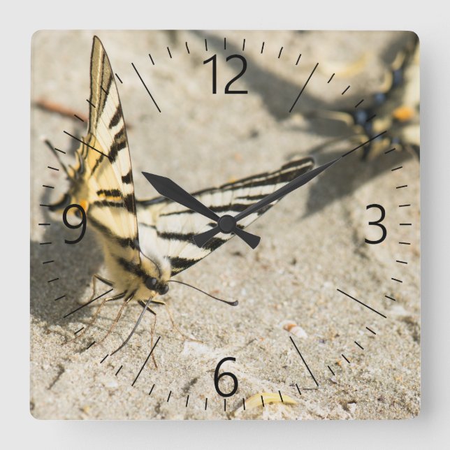 Butterflies Square Wall Clock (Front)