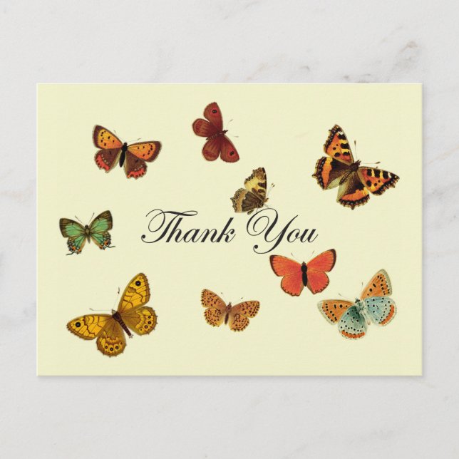 Butterflies Thank You Postcard (Front)