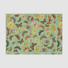 Butterflies Tissue Paper