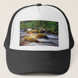 Butterflies Trucker Hat