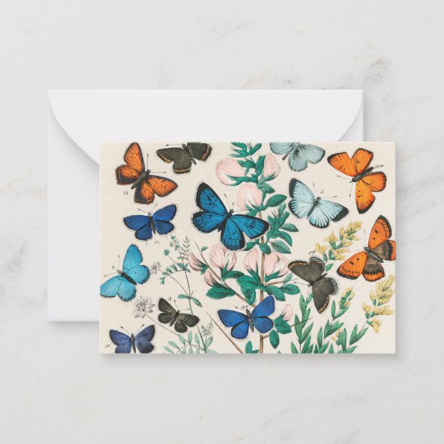 Butterflies, vintage illustration card (Front)