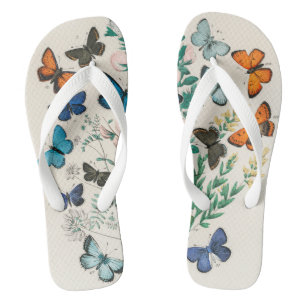 Butterflies, vintage illustration jandals