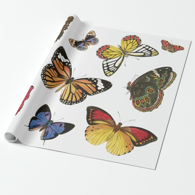 Butterflies Wrapping Paper (Unrolled)