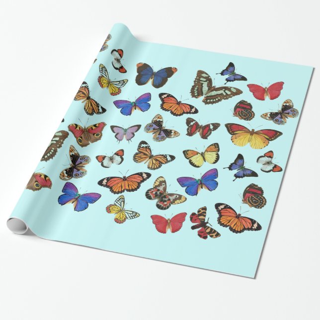 Butterflies Wrapping Paper (Unrolled)