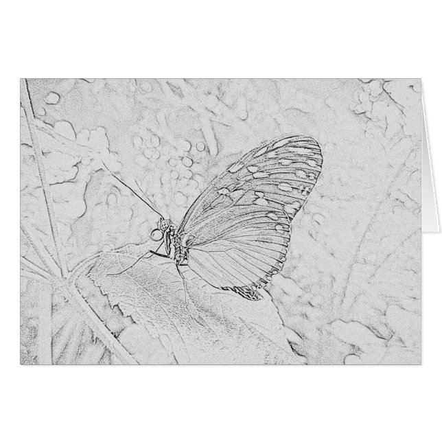 Butterfly (Front Horizontal)