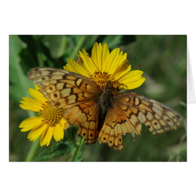 BUTTERFLY (Front Horizontal)