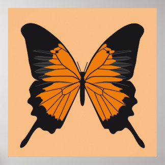 butterfly1 poster