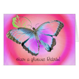 Butterfly3