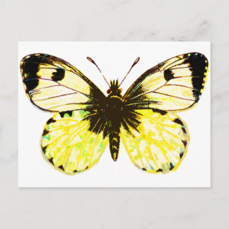 Butterfly 02 postcard