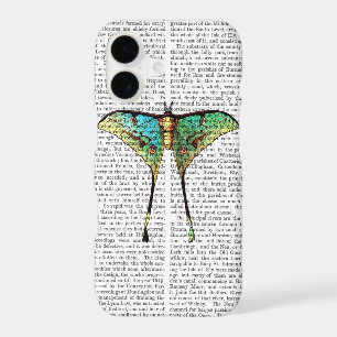 Butterfly 2