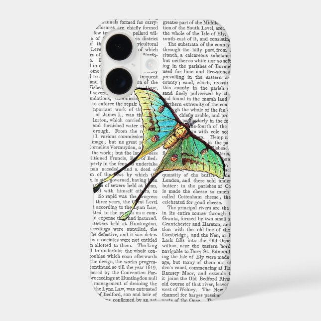 Butterfly 2 (Back)